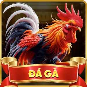 Hỗ trợ qua Email của ga65 app